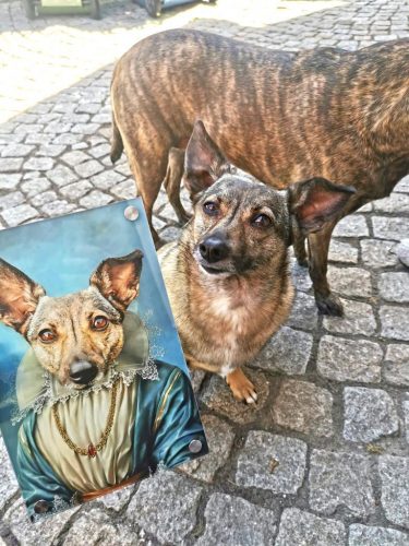 Königin Immersüß | Royal Haustier-/ Hundeporträt photo review