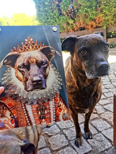 Die schöne Königin | Royal Haustier-/ Hundeporträt photo review