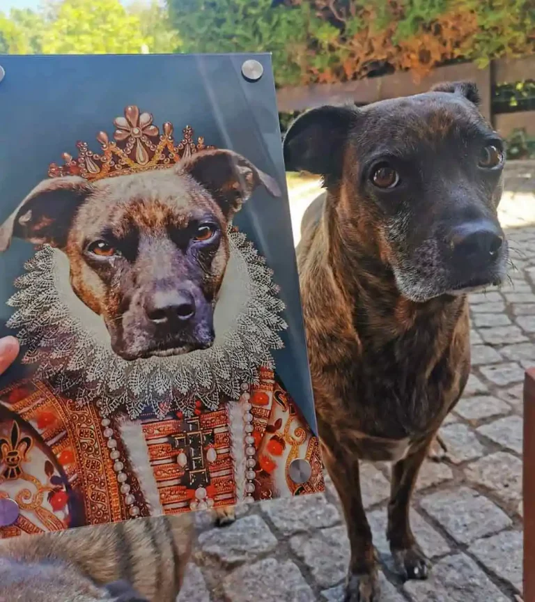 Adel Hundeporträt auf Acryl Königin