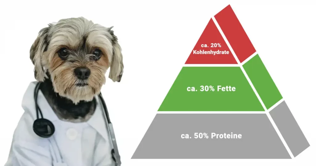 Ernährungspyramide für Hunde